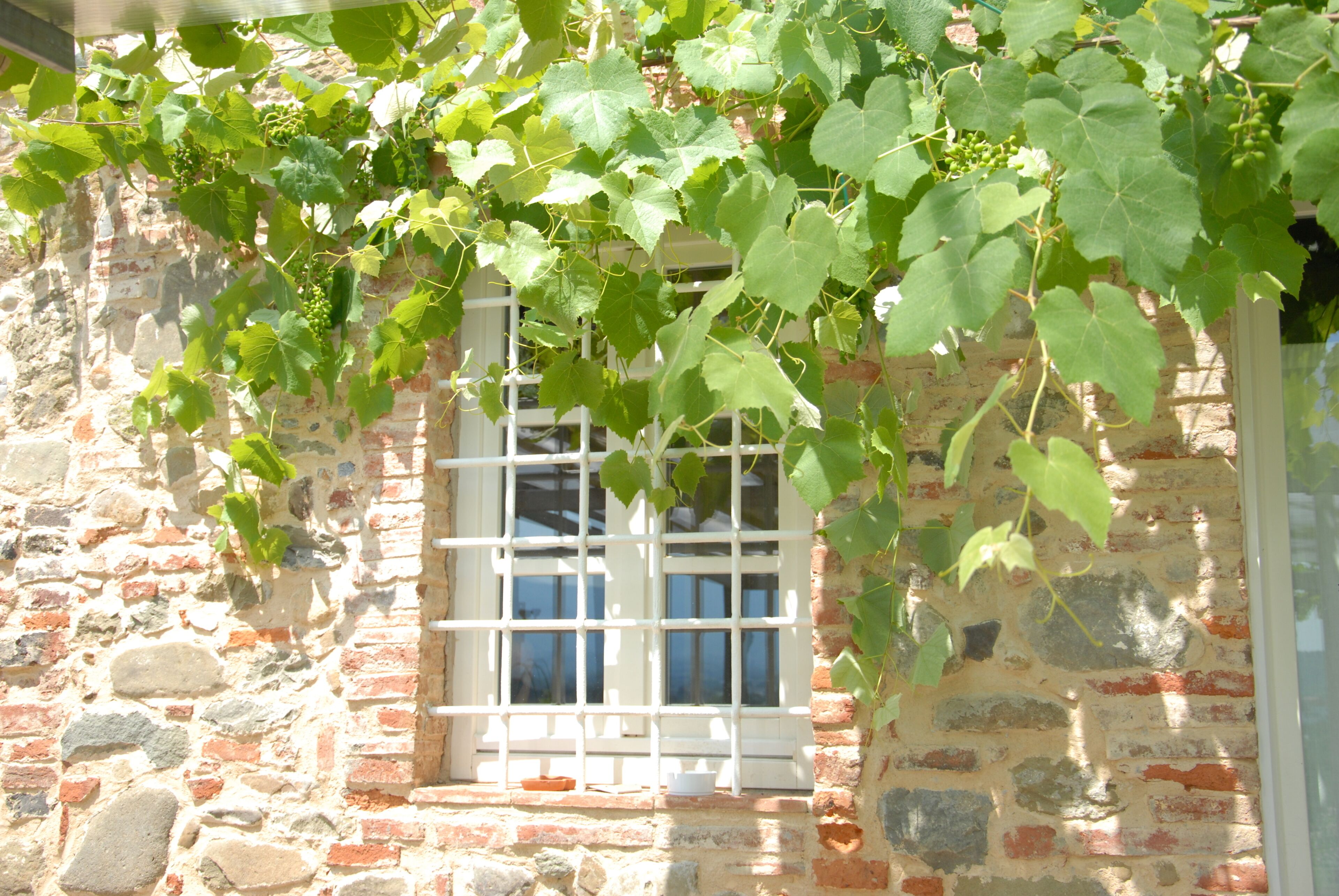 Un edificio de piedra con una ventana enmarcada por contraventanas blancas y hiedra trepando por él.