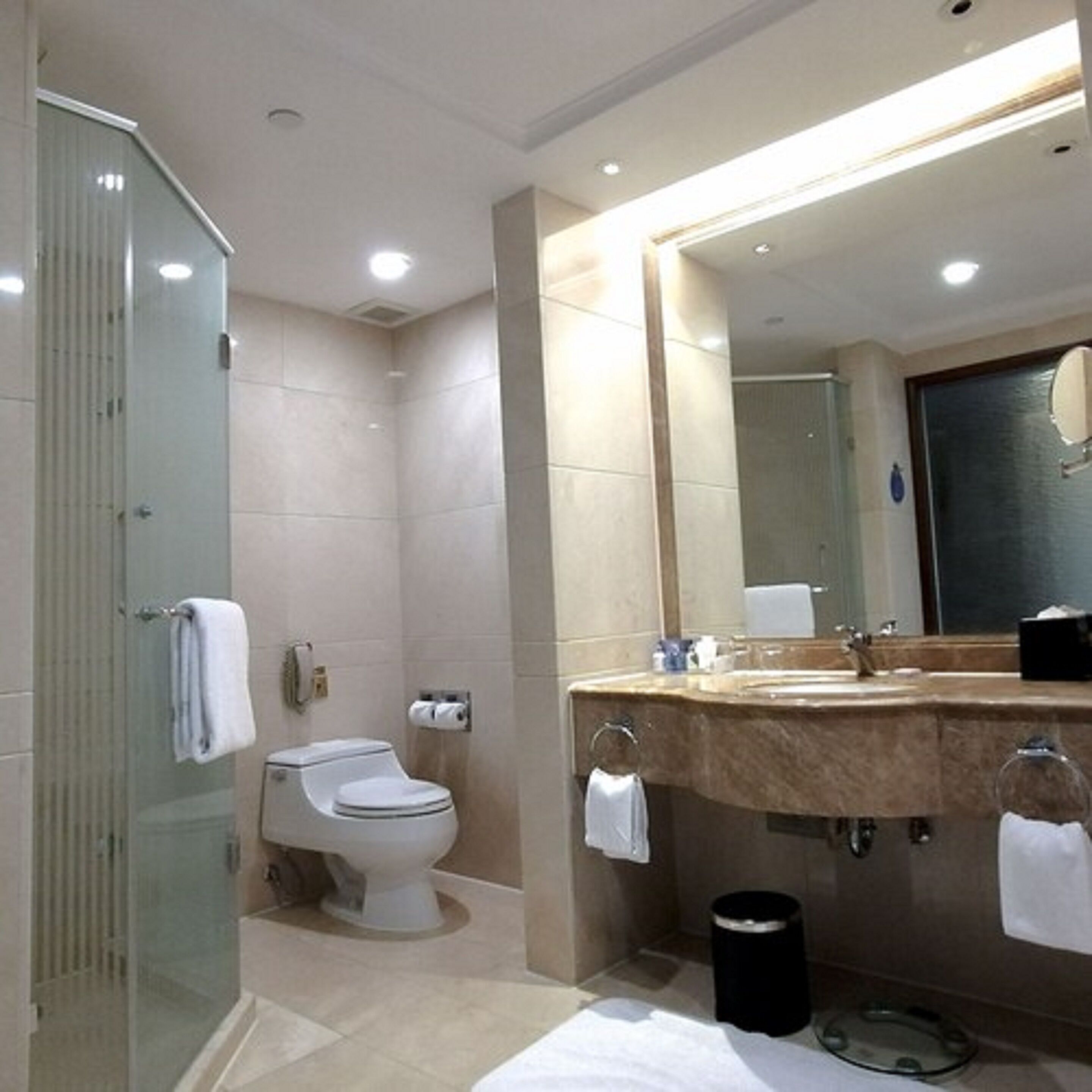 Un bagno moderno con cabina doccia in vetro, un water, un lavandino con un grande specchio e un cestino.