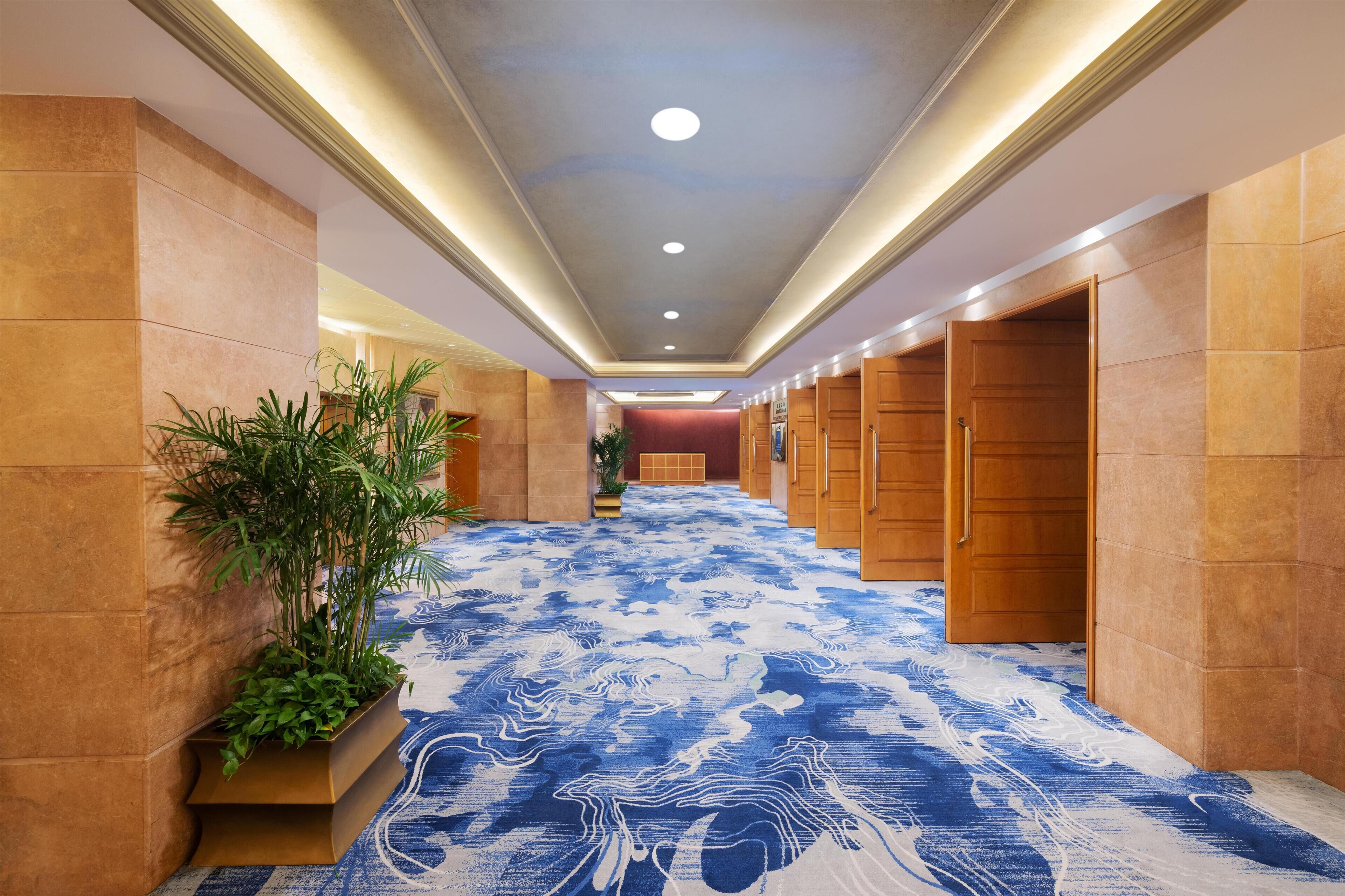 A hotel corridor with a patterned carpet, wooden doors, and a potted plant.