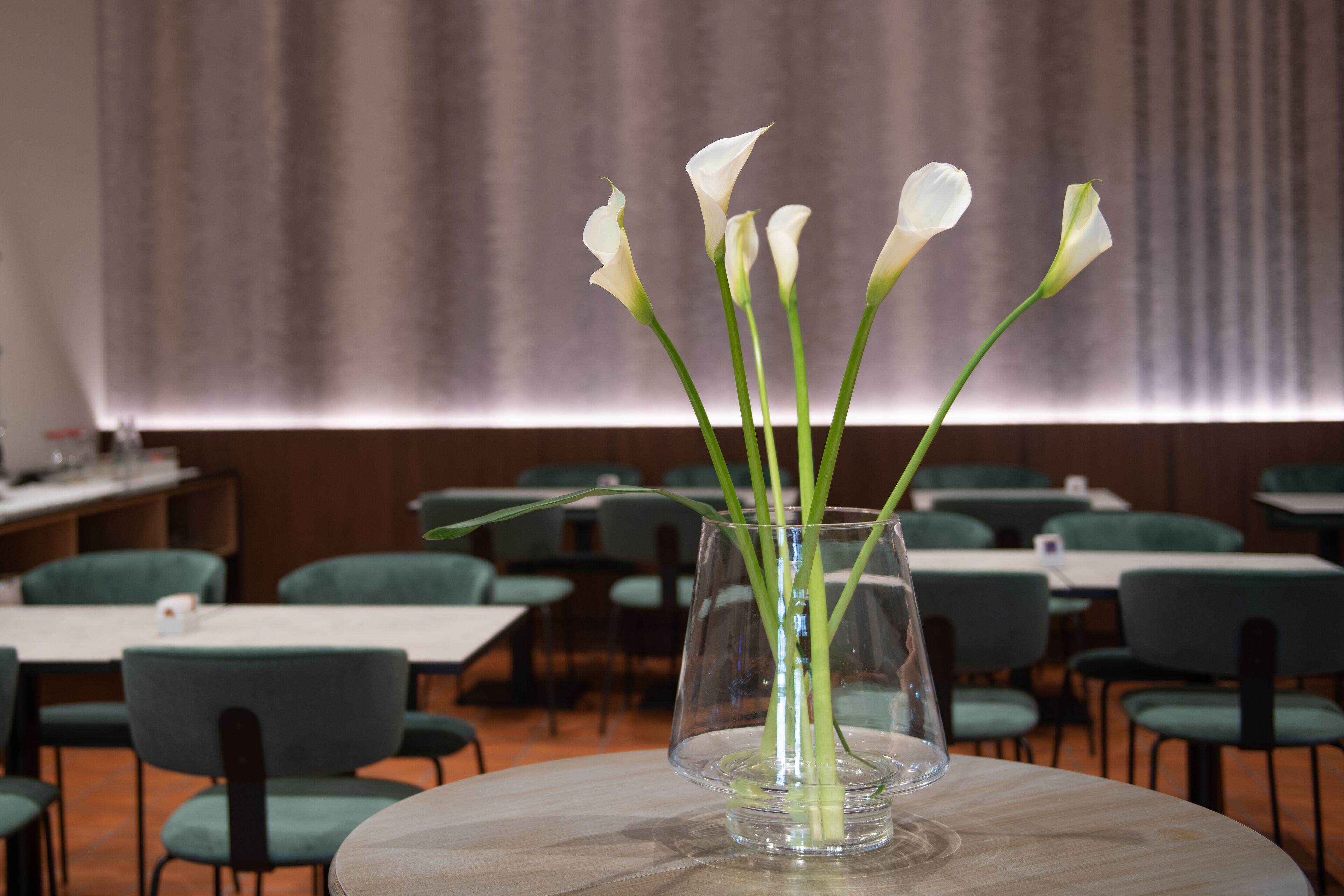 Desayuno buffet (EUR 8 por persona) 