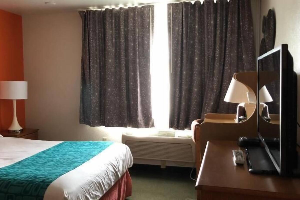 Premium bedding, desk, iron/ironing board, free cribs/infant beds