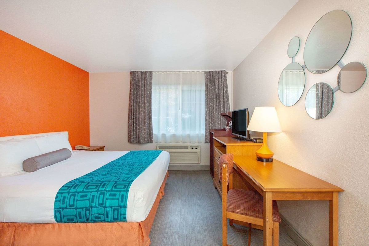A hotel room with a bed, a desk, a chair, a TV, a lamp, and a window with curtains.