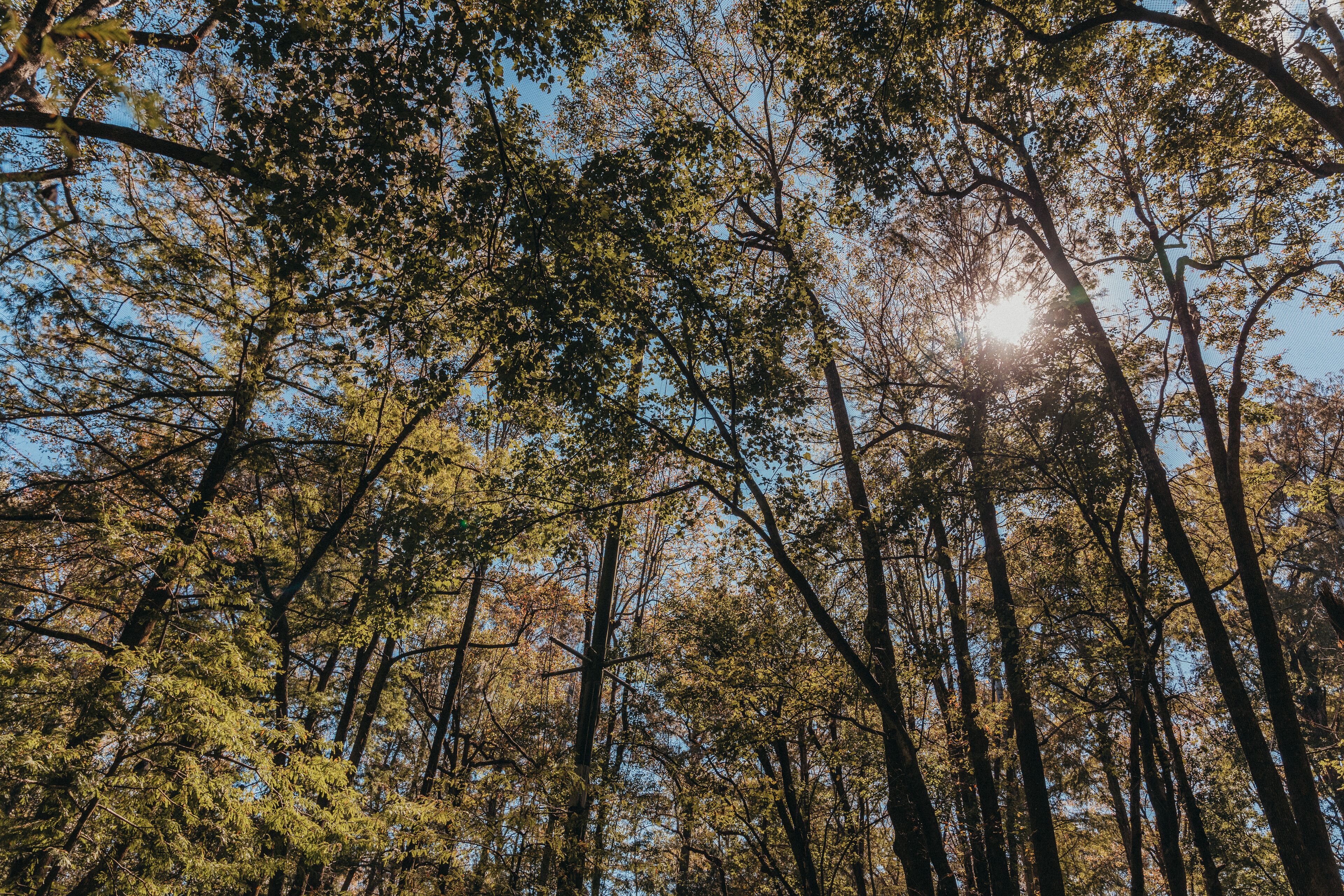 Foto - Sandcastle Oceanfront Resort South Beach