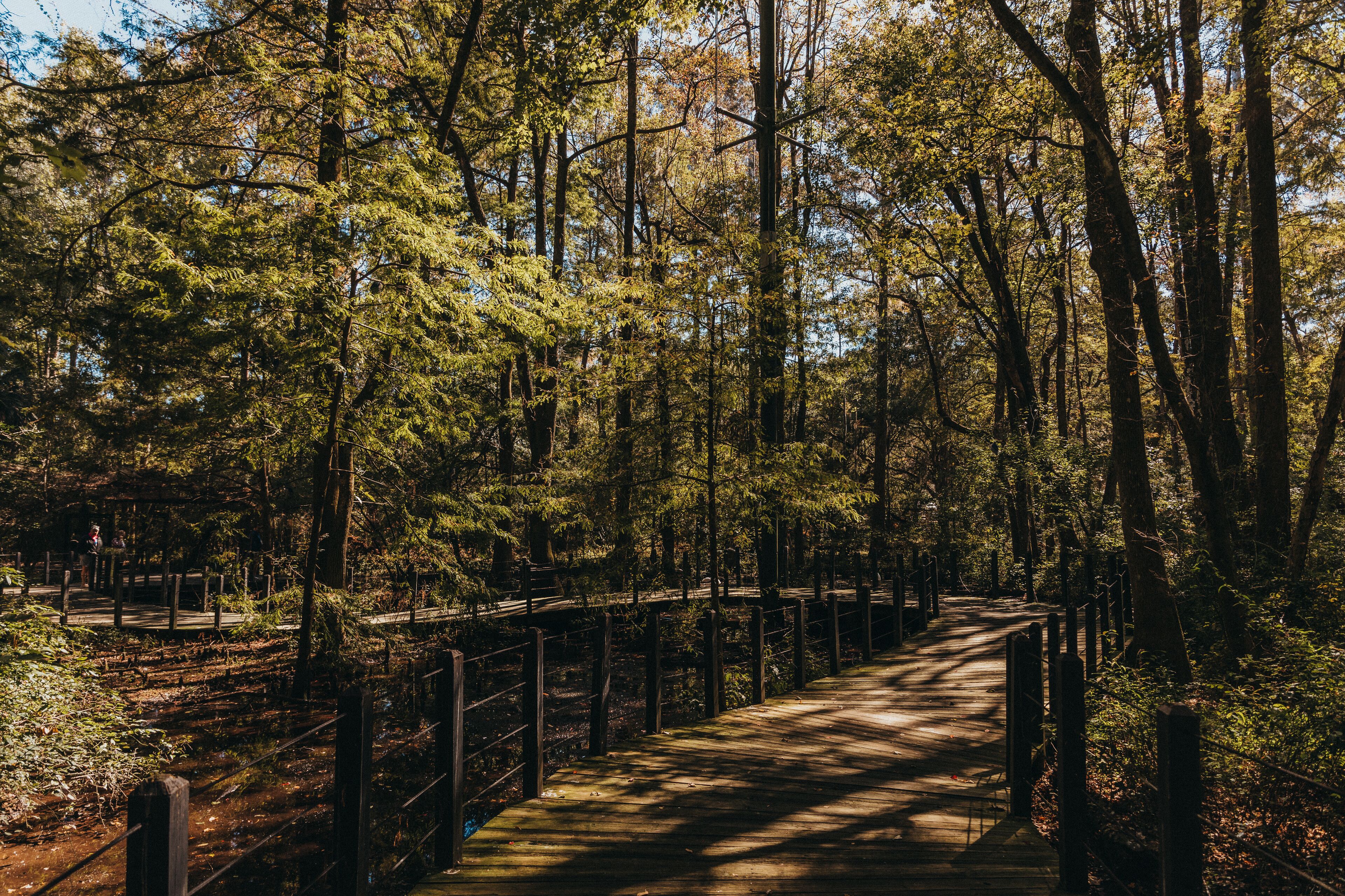 Foto - Sandcastle Oceanfront Resort South Beach