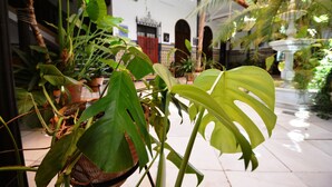 A lush indoor garden with various plants and a fountain. - Casa de los Azulejos (Córdoba)