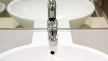 Shower, free toiletries, hair dryer, bidet