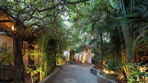 A stone pathway flanked by lush greenery and brick planters, leading to a building with a traditional architectural style. - Posada De Las Flores La Paz (La Paz)
