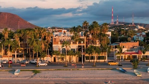 A coastal urban area with buildings, palm trees, and boats on the beach. - Posada De Las Flores La Paz (La Paz)