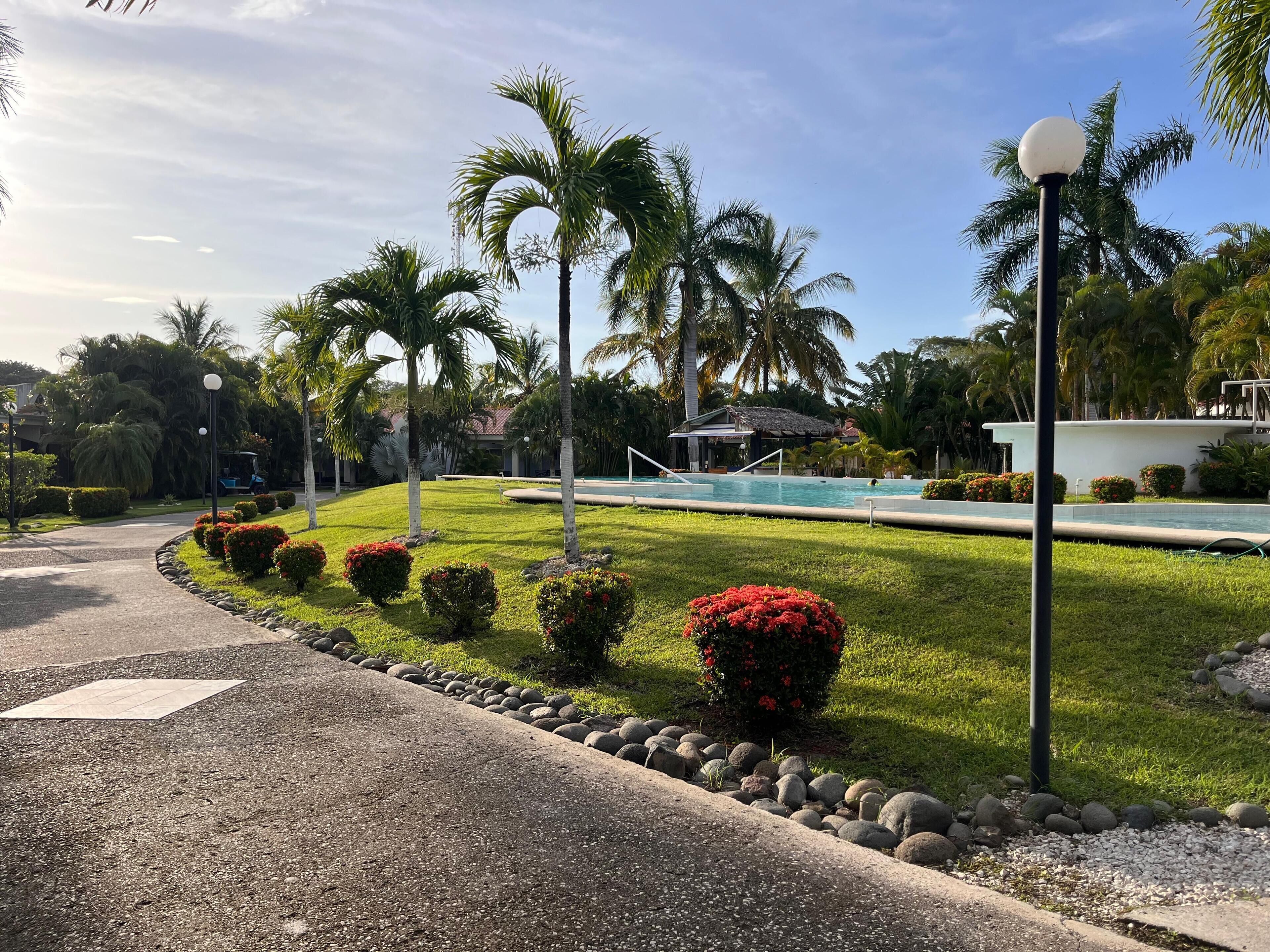 A well-maintained pool area with a clear sky, surrounded by lush greenery and palm trees.