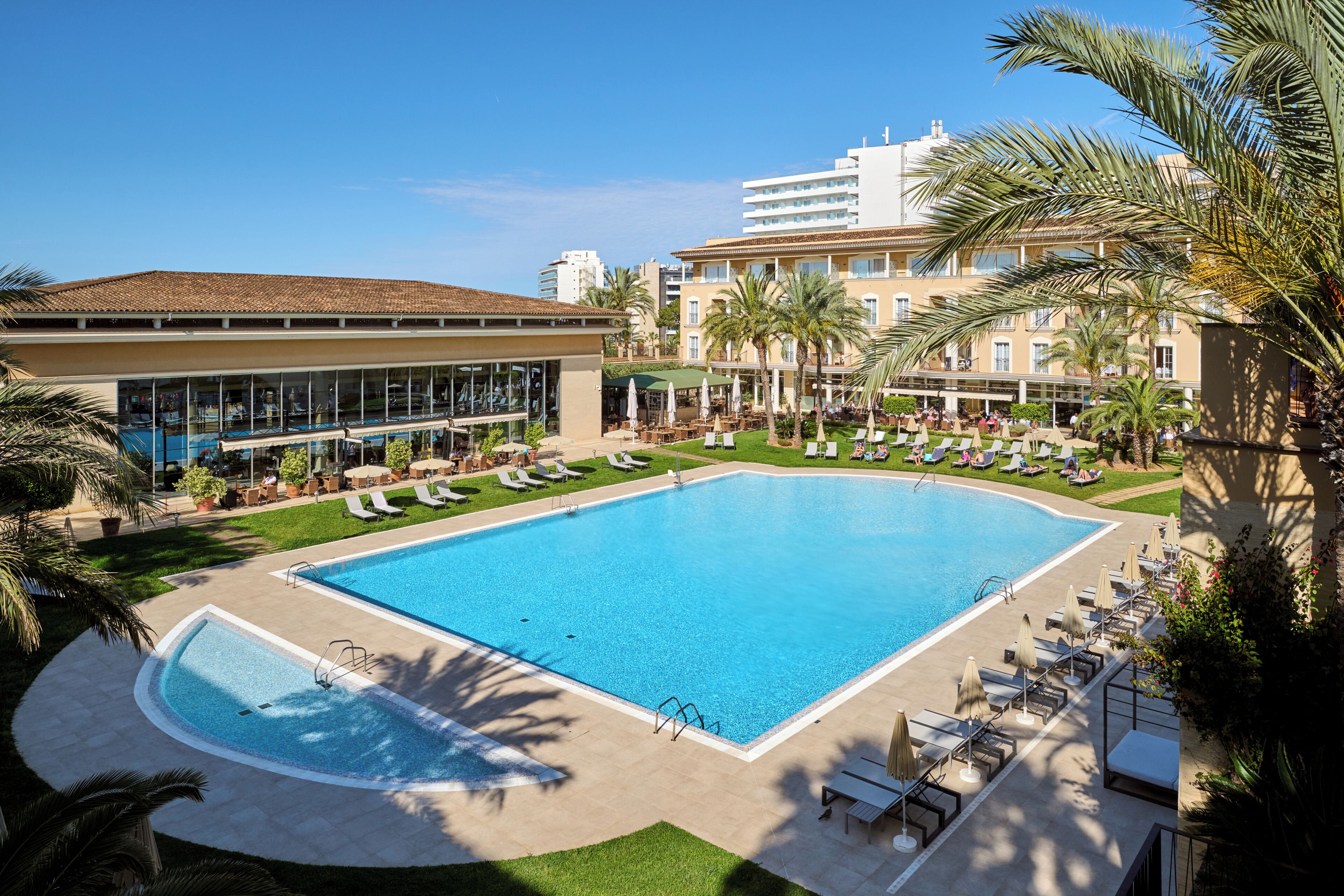 A large swimming pool with sun loungers and palm trees.