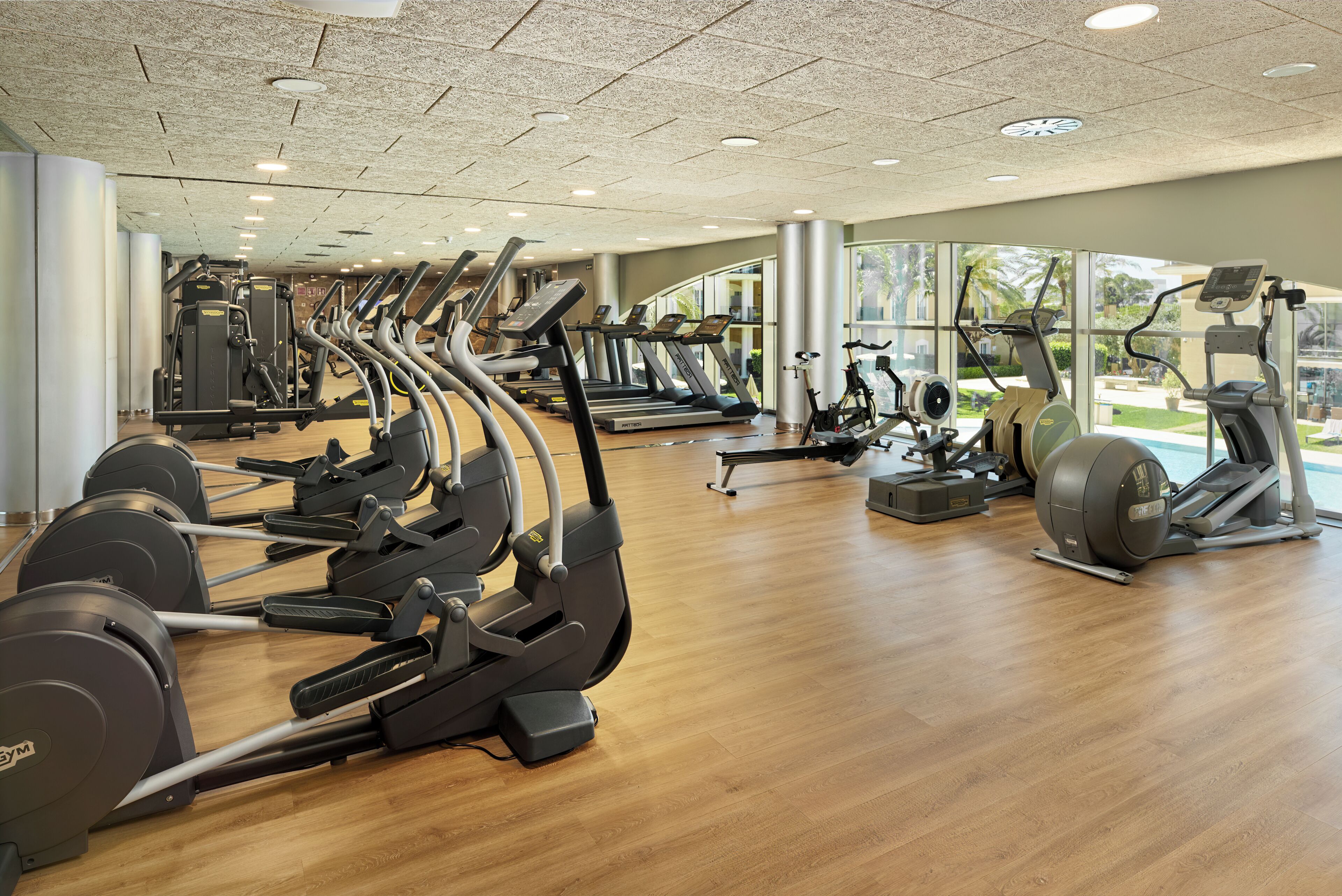 Gimnasio