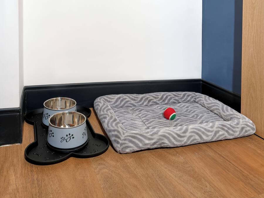 A pet bed with a patterned cover and two bowls with paw prints.