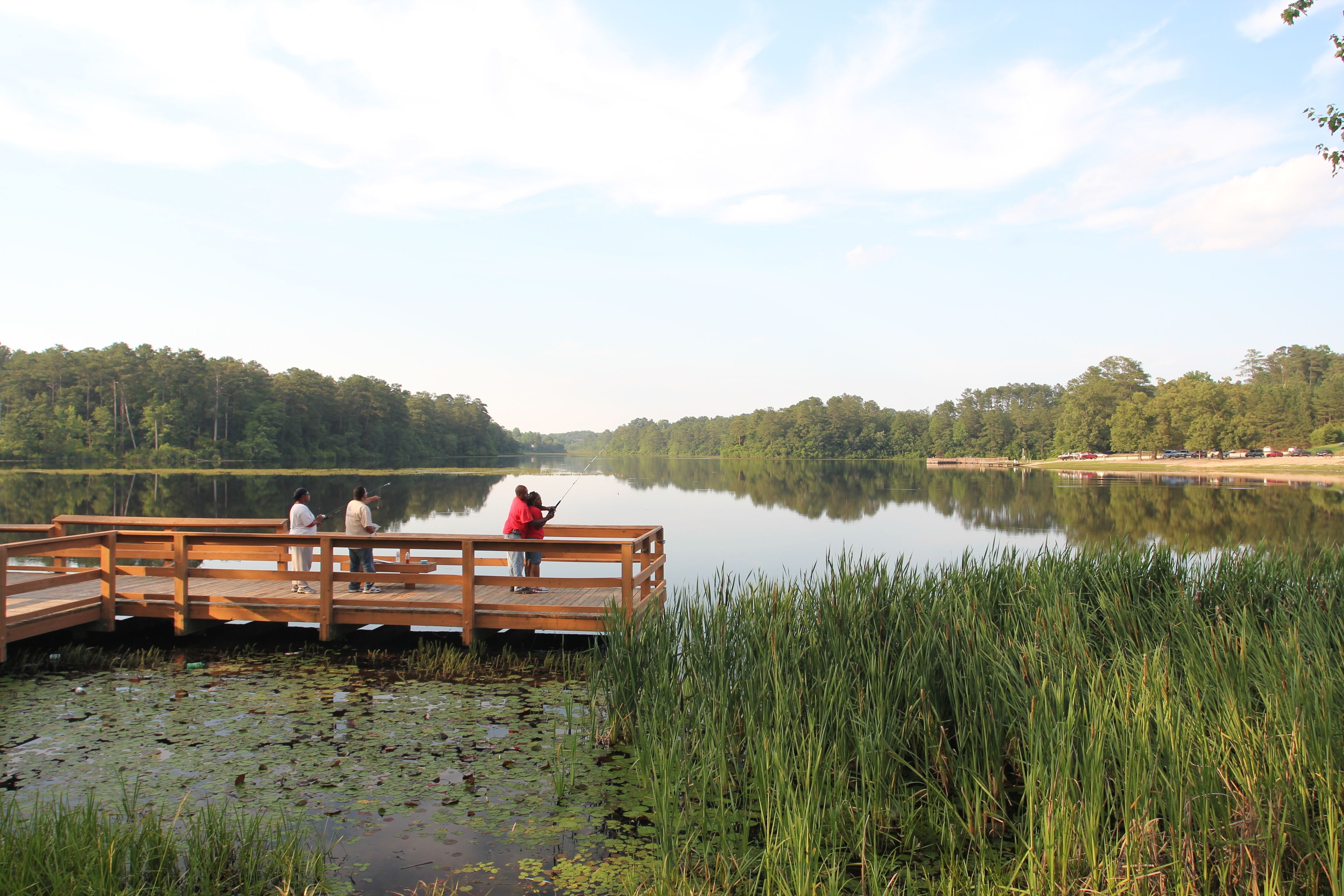 Une jetée en bois s’étendant dans un lac paisible, entouré d’une végétation luxuriante et d’arbres.