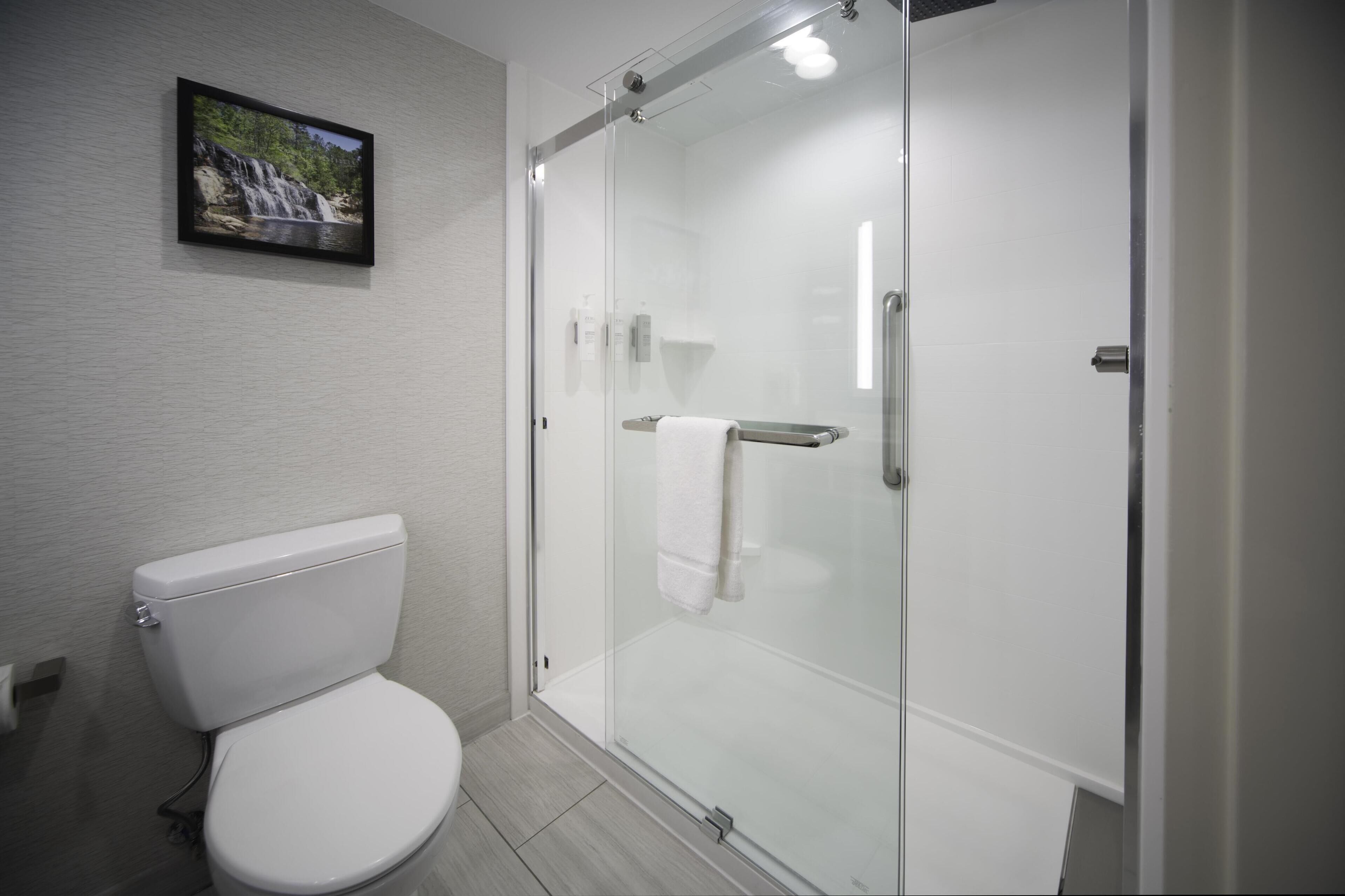 Un baño moderno con ducha de vidrio, inodoro blanco y un cuadro en la pared.