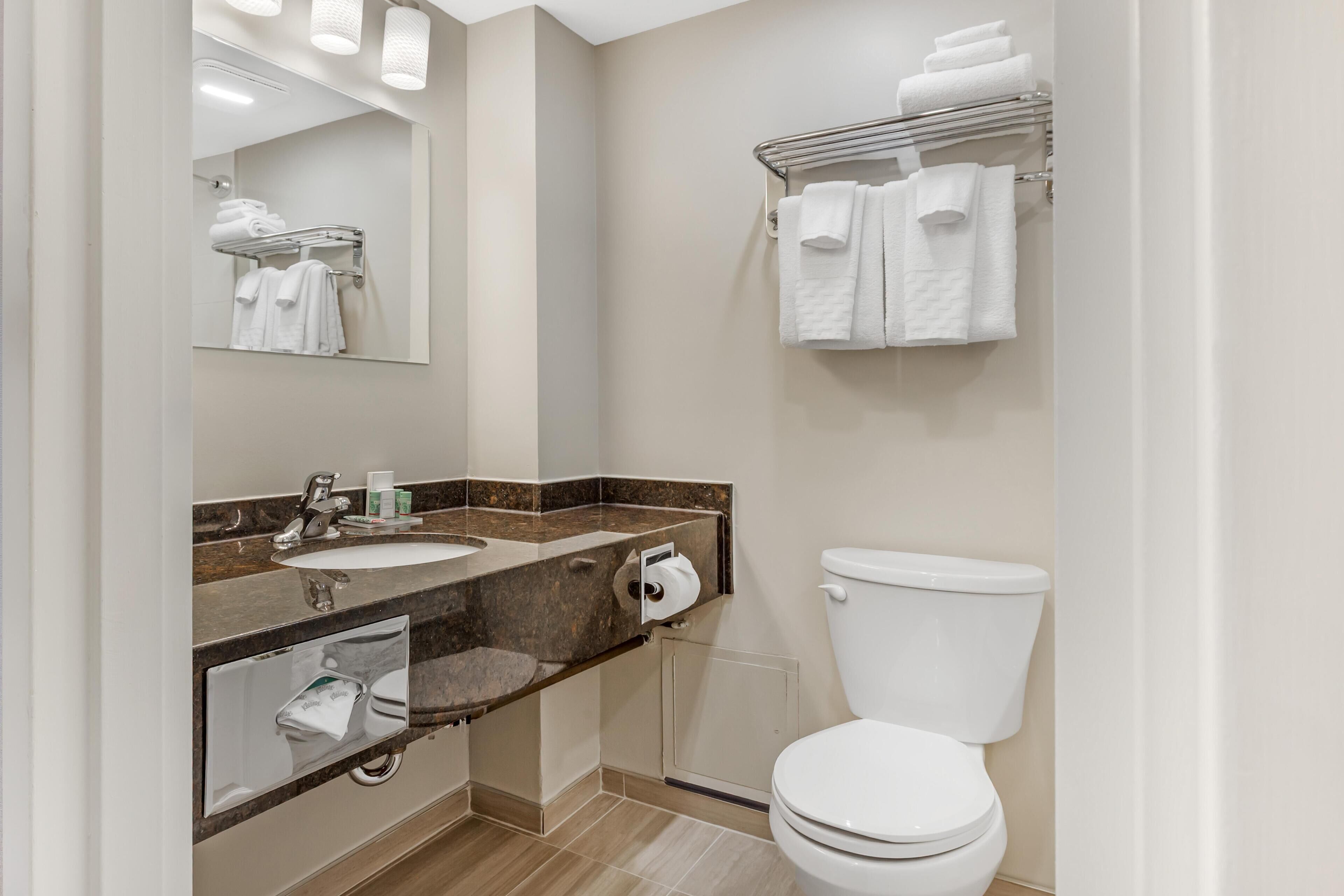 Un baño moderno con lavamanos de mármol, inodoro, toallero y espejo.