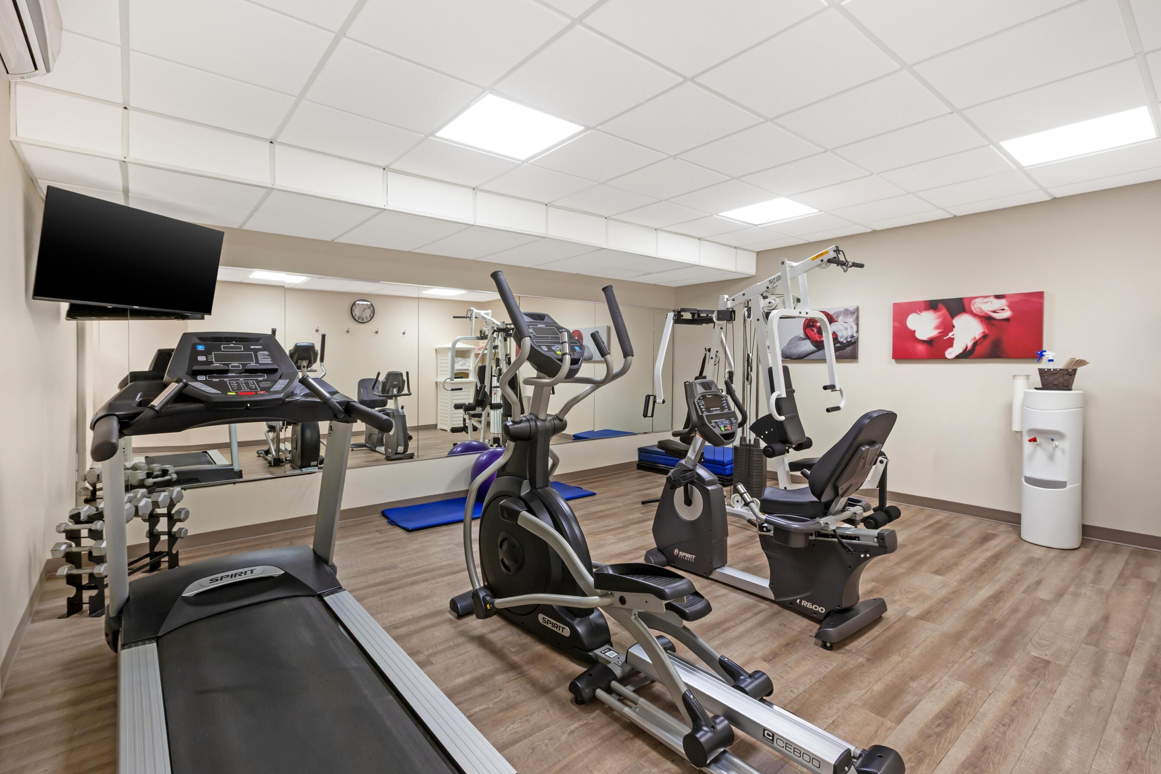 A gym with treadmills, elliptical machines, and weight machines.
