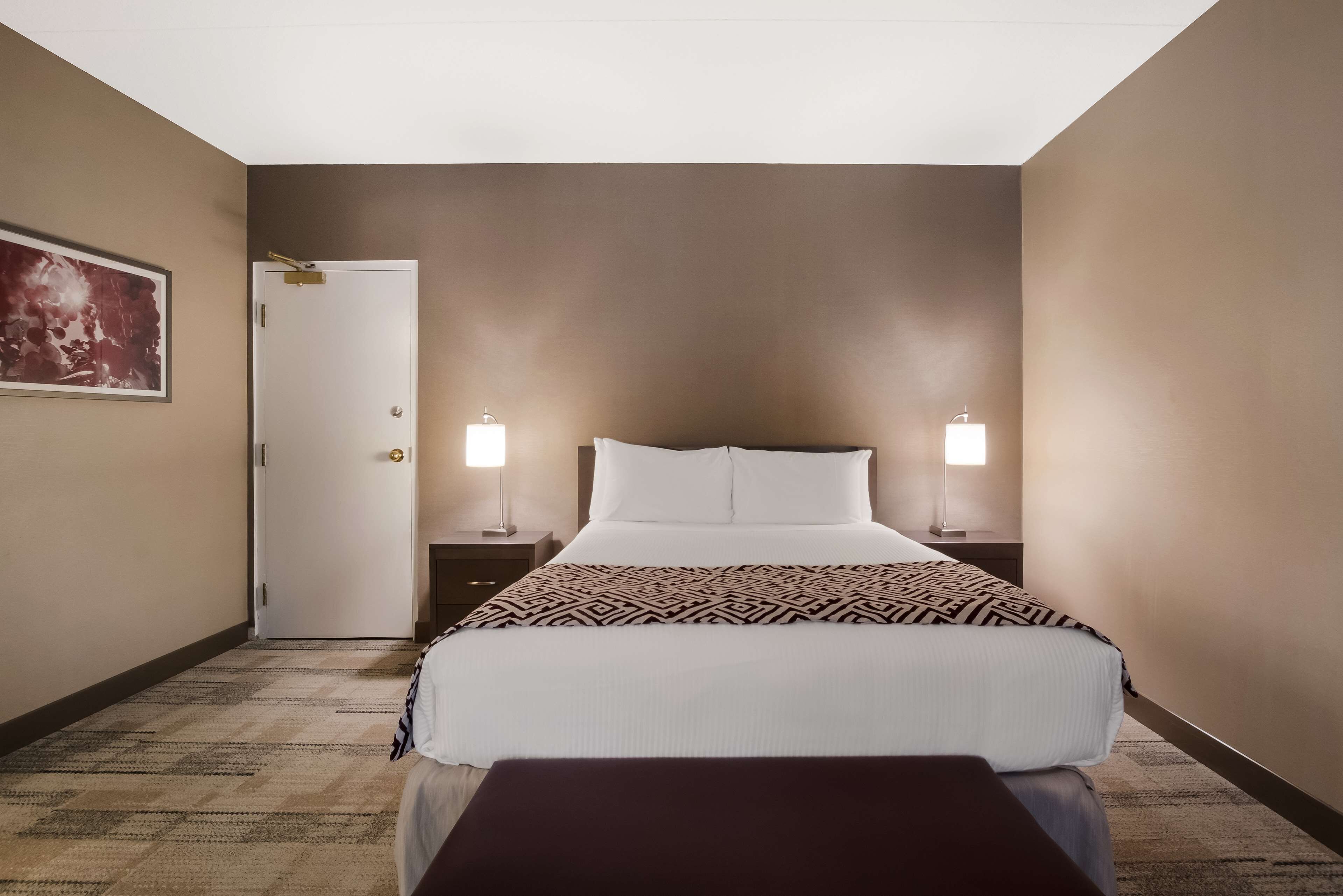 superior suite, 1 queen bed with sofa bed, non smoking, jetted tub (with sofabed) | premium bedding, pillow-top beds, in-room safe, blackout curtains