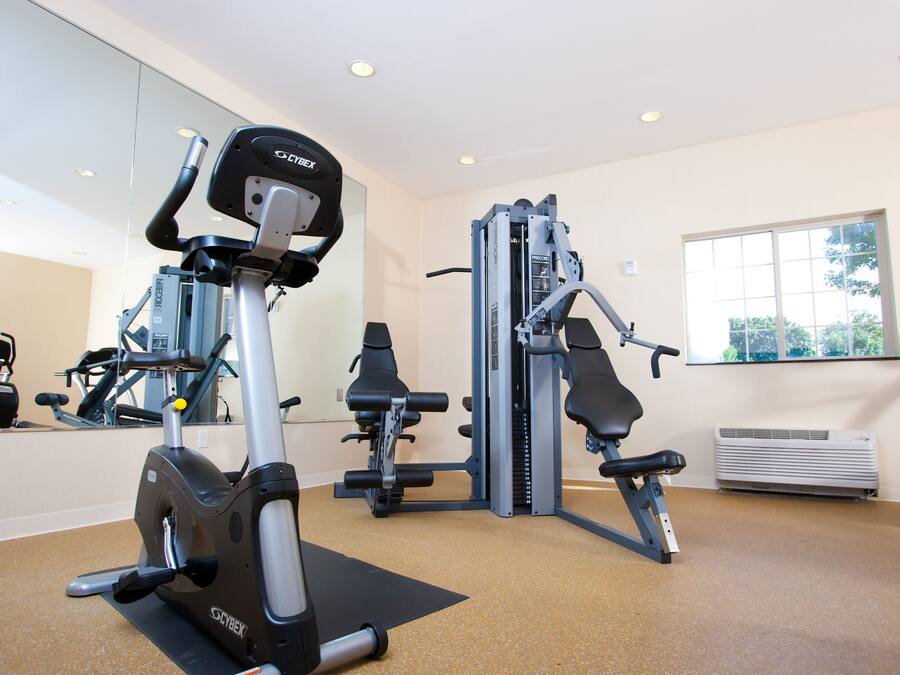 Un gimnasio con máquinas de cardio, pesas y un espejo grande.