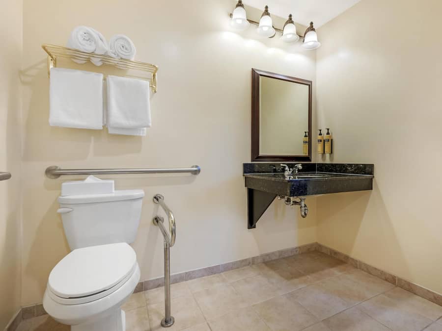 Ein Badezimmer mit Toilette, Waschbecken, Spiegel und Handtuchhalter mit Handtüchern.