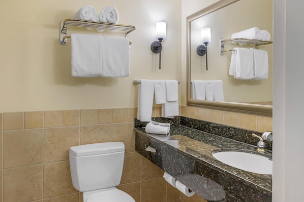 A bathroom with a toilet, sink, and towel racks.