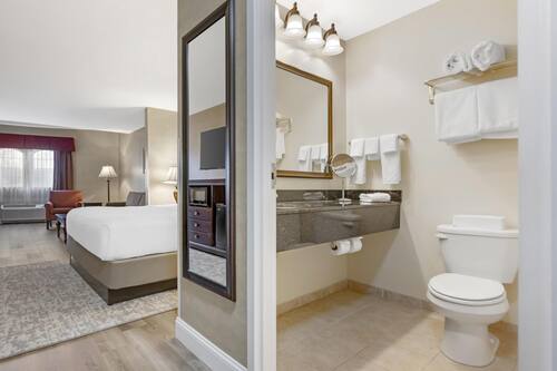 Standardzimmer, 1 King-Bett, Nichtraucher (Shower Only;with Sofabed) | Badezimmer | Kostenlose Toilettenartikel, Haartrockner, Handtücher, Seife