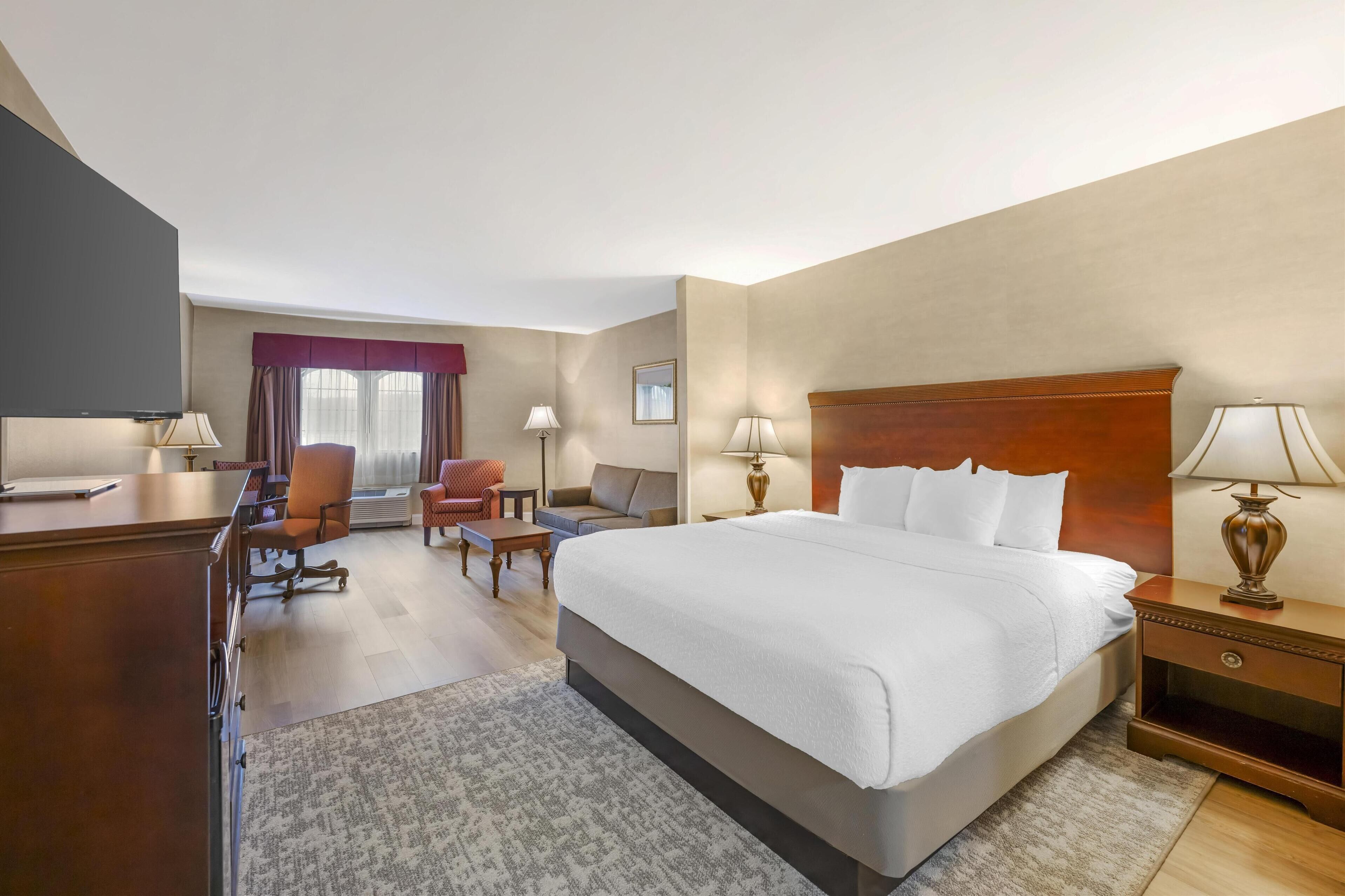 standard room, 1 king bed, non smoking (shower only;with sofabed) | premium bedding, in-room safe, laptop workspace, blackout curtains