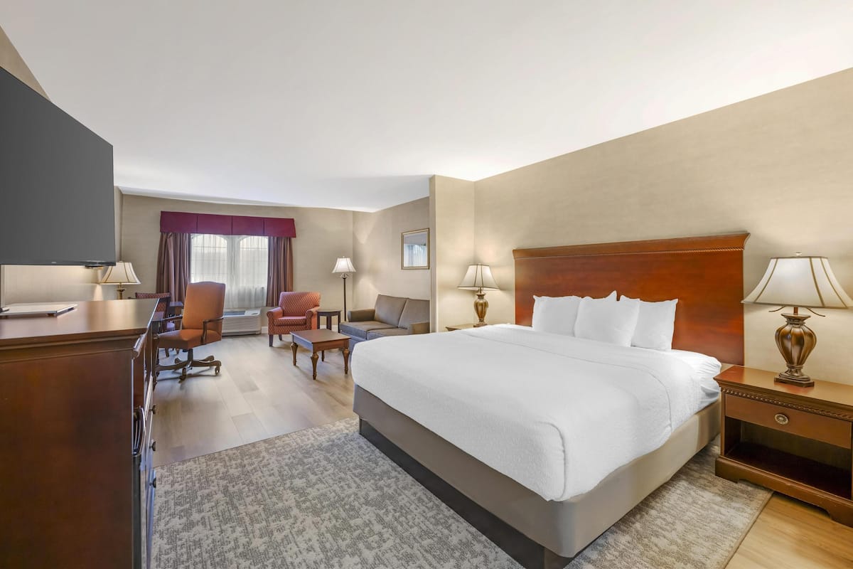 Standard Room, 1 King Bed, Non Smoking (Shower Only;with Sofabed) | Premium bedding, in-room safe, laptop workspace, blackout drapes