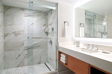 Embassy Suites by Hilton Washington D.C. Convention Center - Image 52