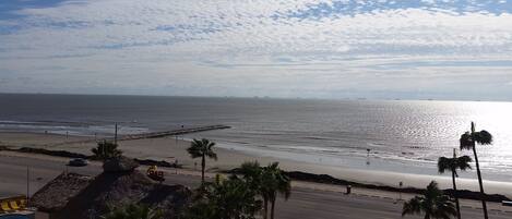A beach with a road, palm trees, and a pier.