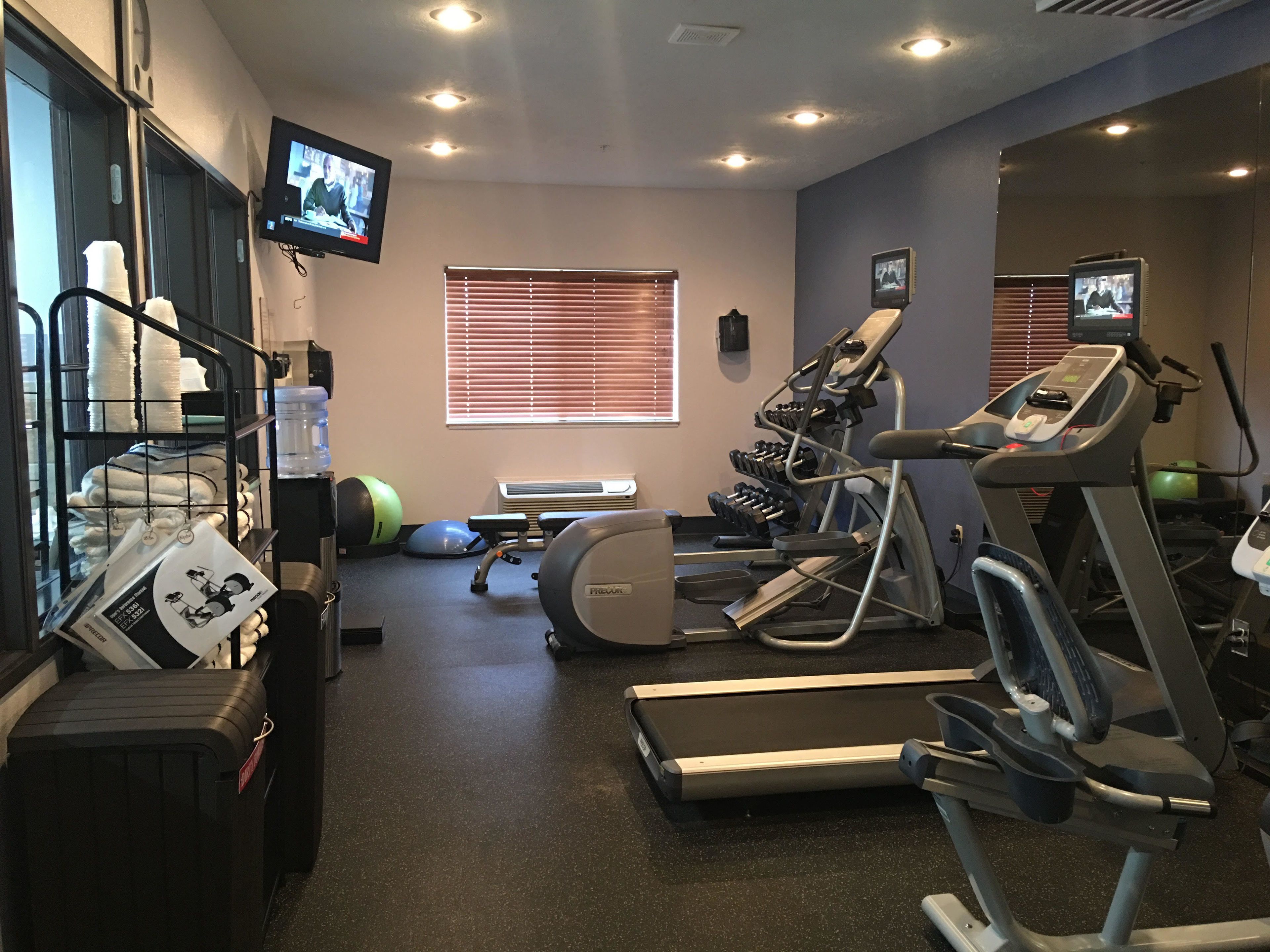 Un gimnasio con cintas de correr, una bicicleta estática y una máquina de remo. Hay pelotas de ejercicio y mancuernas en estantes. Un televisor está montado en la pared.