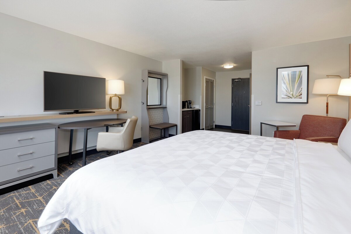 Standaard kamer, 1 kingsize bed | Een bureau, een laptopwerkplek, verduisterende gordijnen