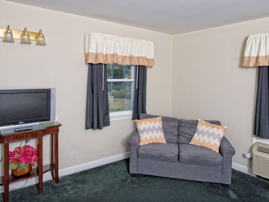 A living room with a grey sofa, two patterned cushions, a flat-screen TV on a wooden stand, a vase with flowers, and a window with curtains.