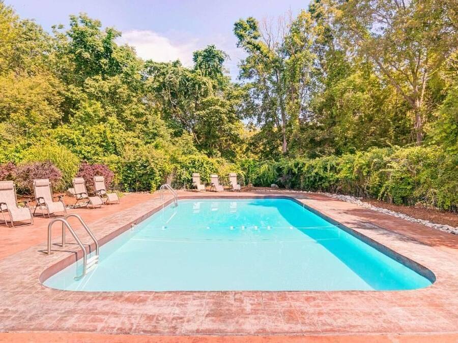 Une piscine rectangulaire, bordée d’une terrasse carrelée et entourée d’une végétation luxuriante et d’arbres.