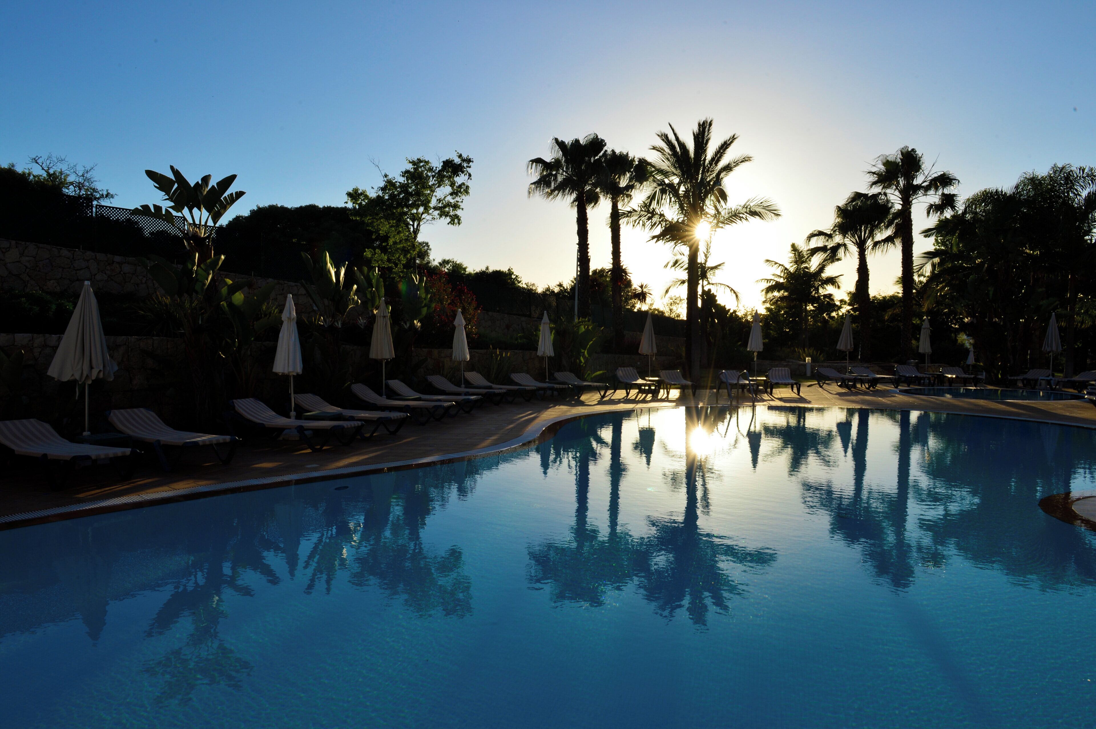 A pool with lounge chairs and umbrellas, surrounded by palm trees.