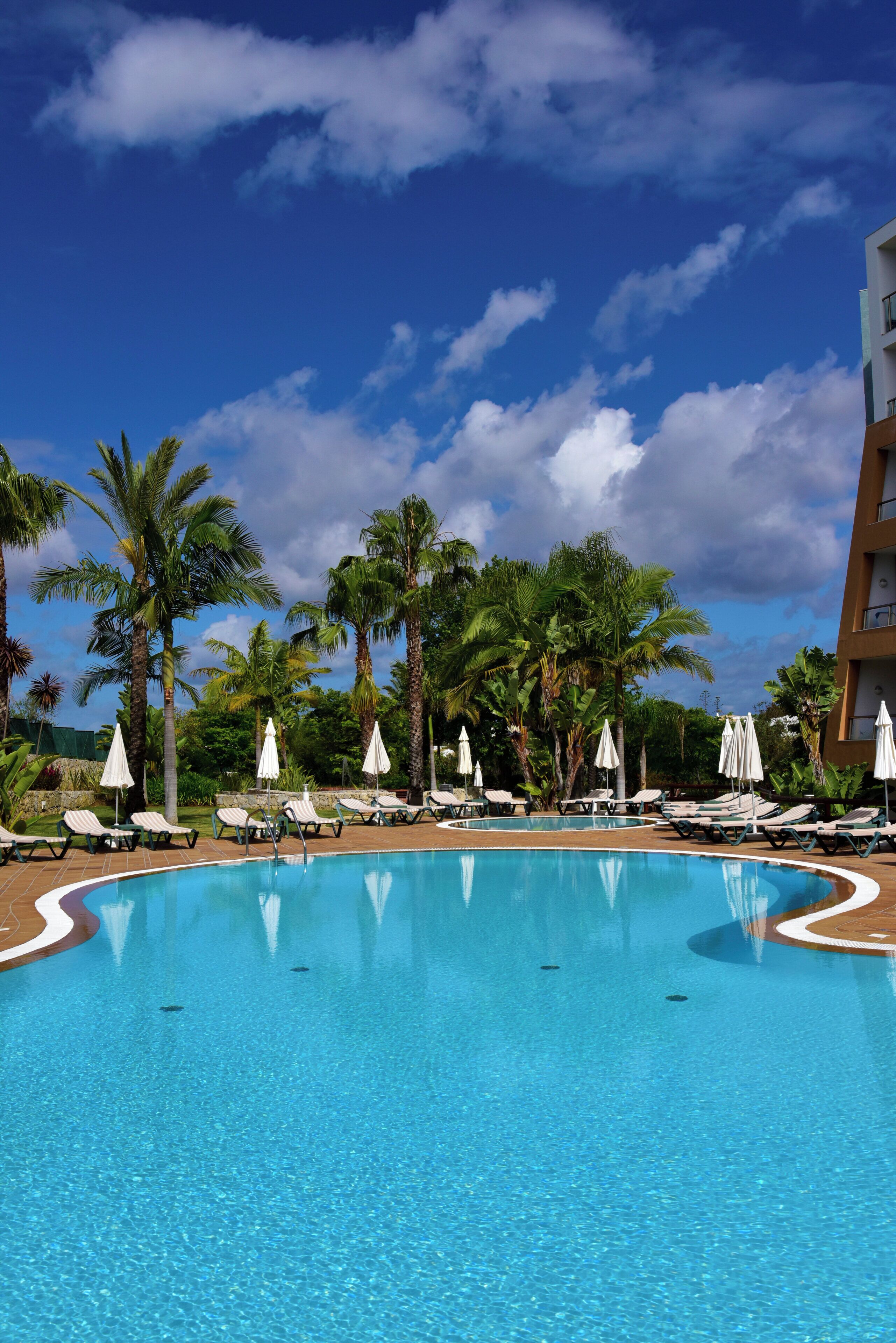 A swimming pool with lounge chairs and umbrellas, surrounded by palm trees and a clear sky.