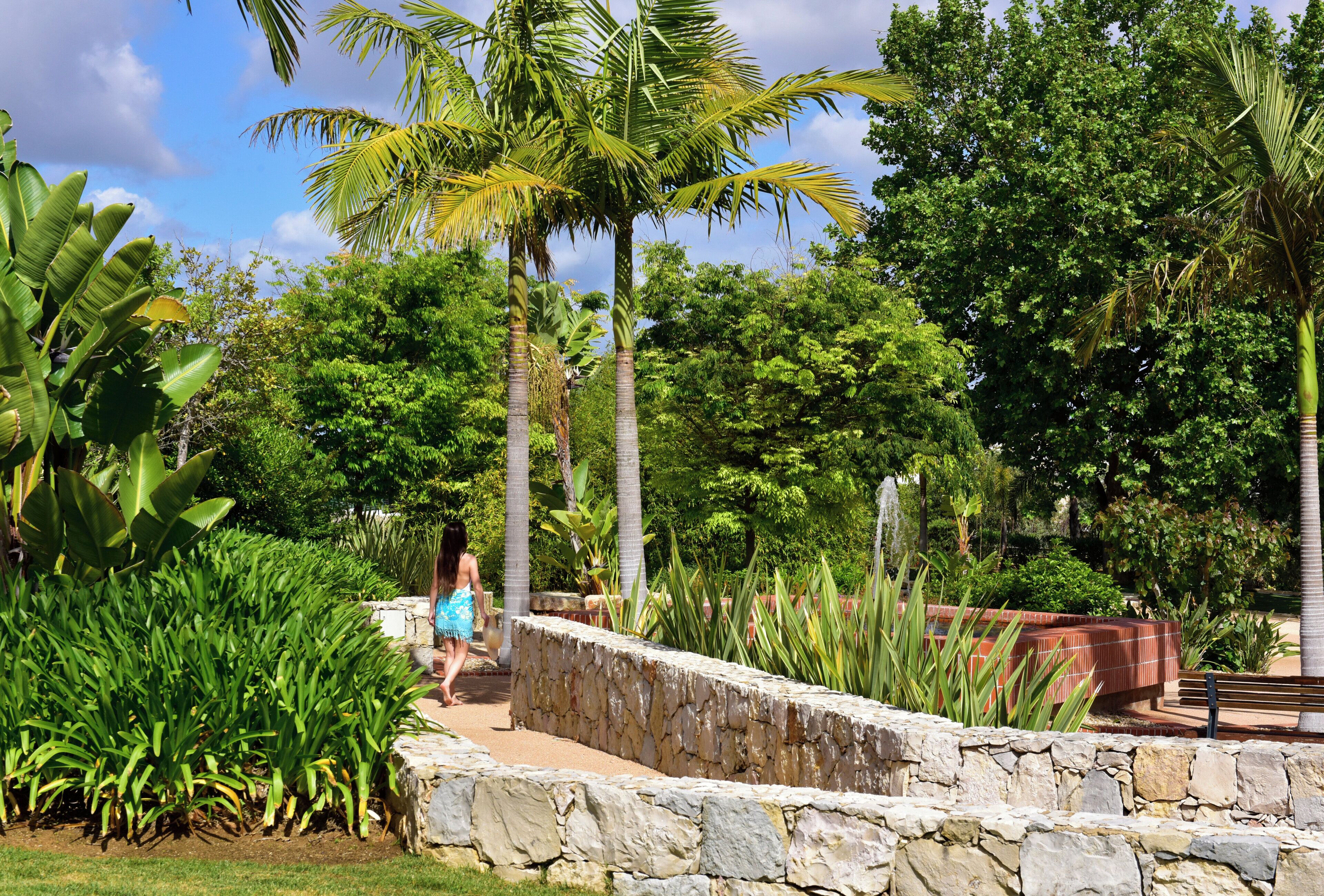 Un muro de piedra, palmeras y exuberante vegetación en un jardín.