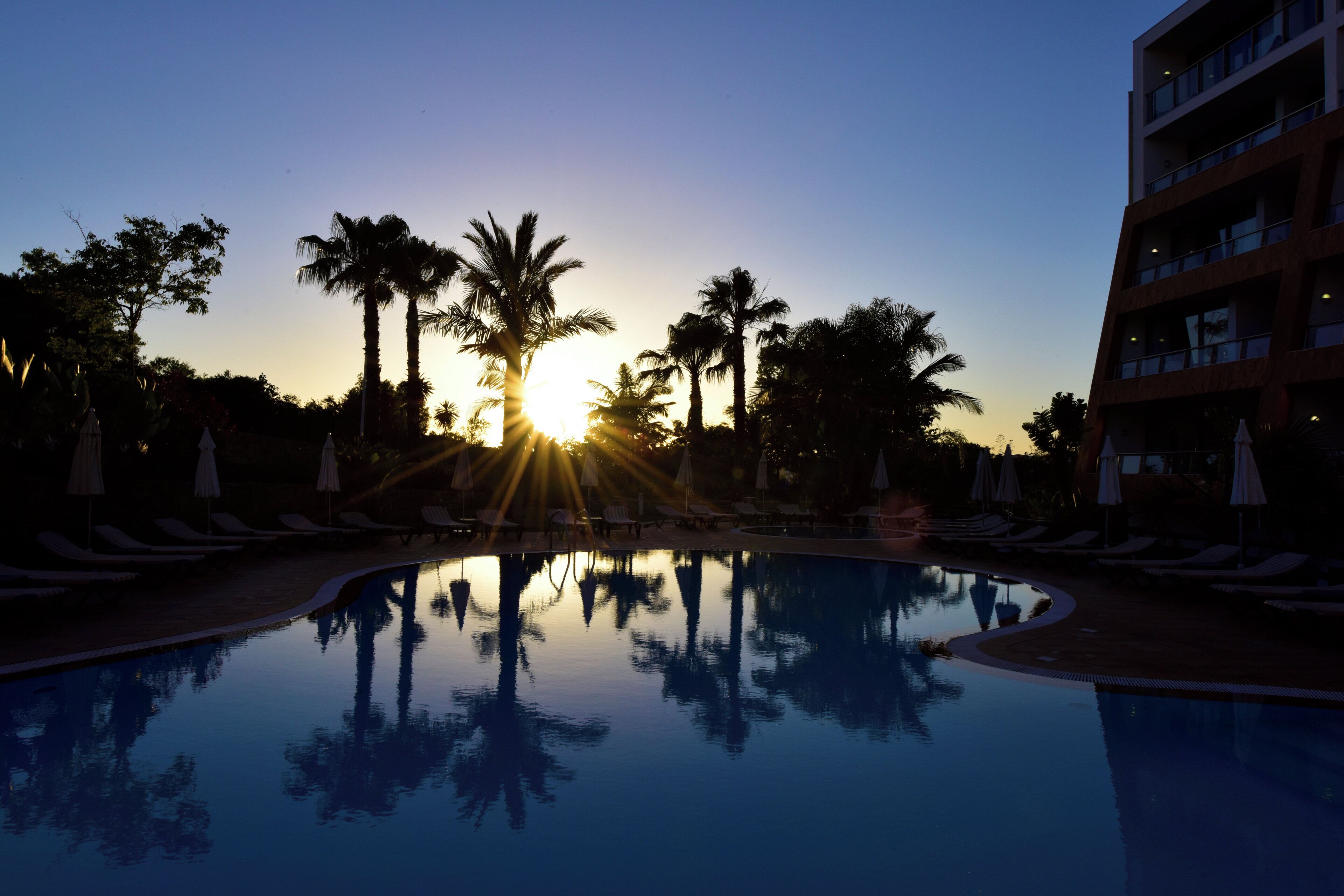 Une piscine dont l’eau reflète la lumière du soleil, des palmiers et des chaises longues.
