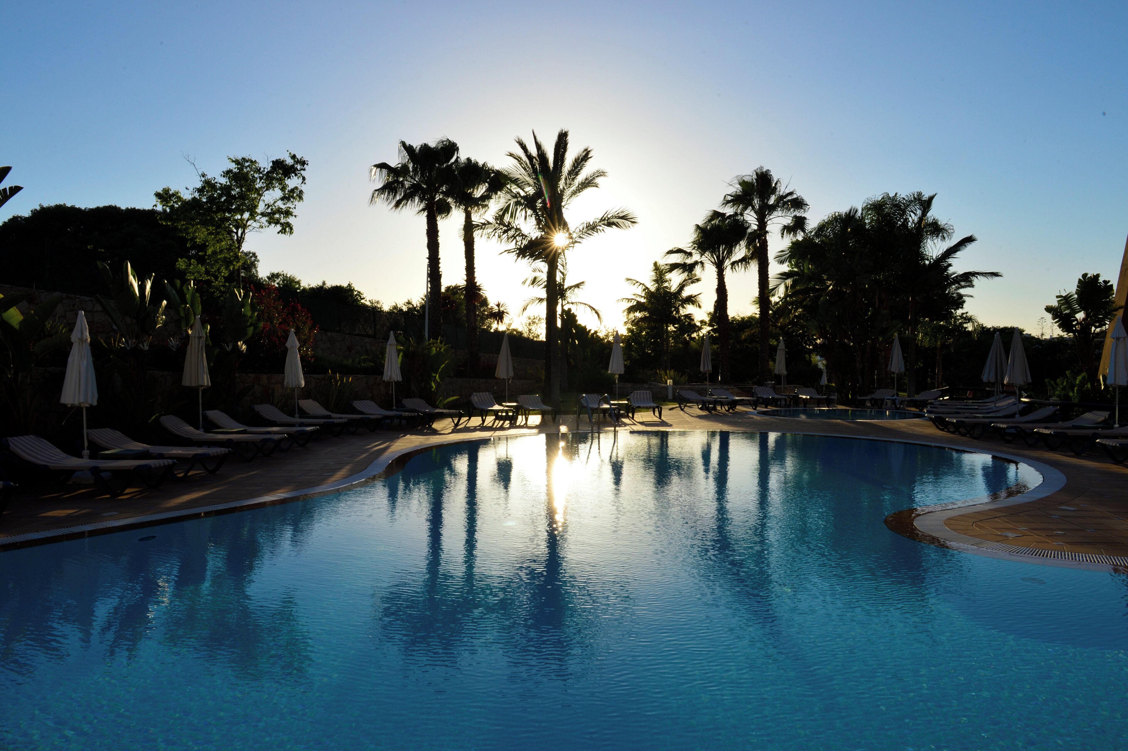 Una piscina con lettini e ombrelloni, circondata da palme.