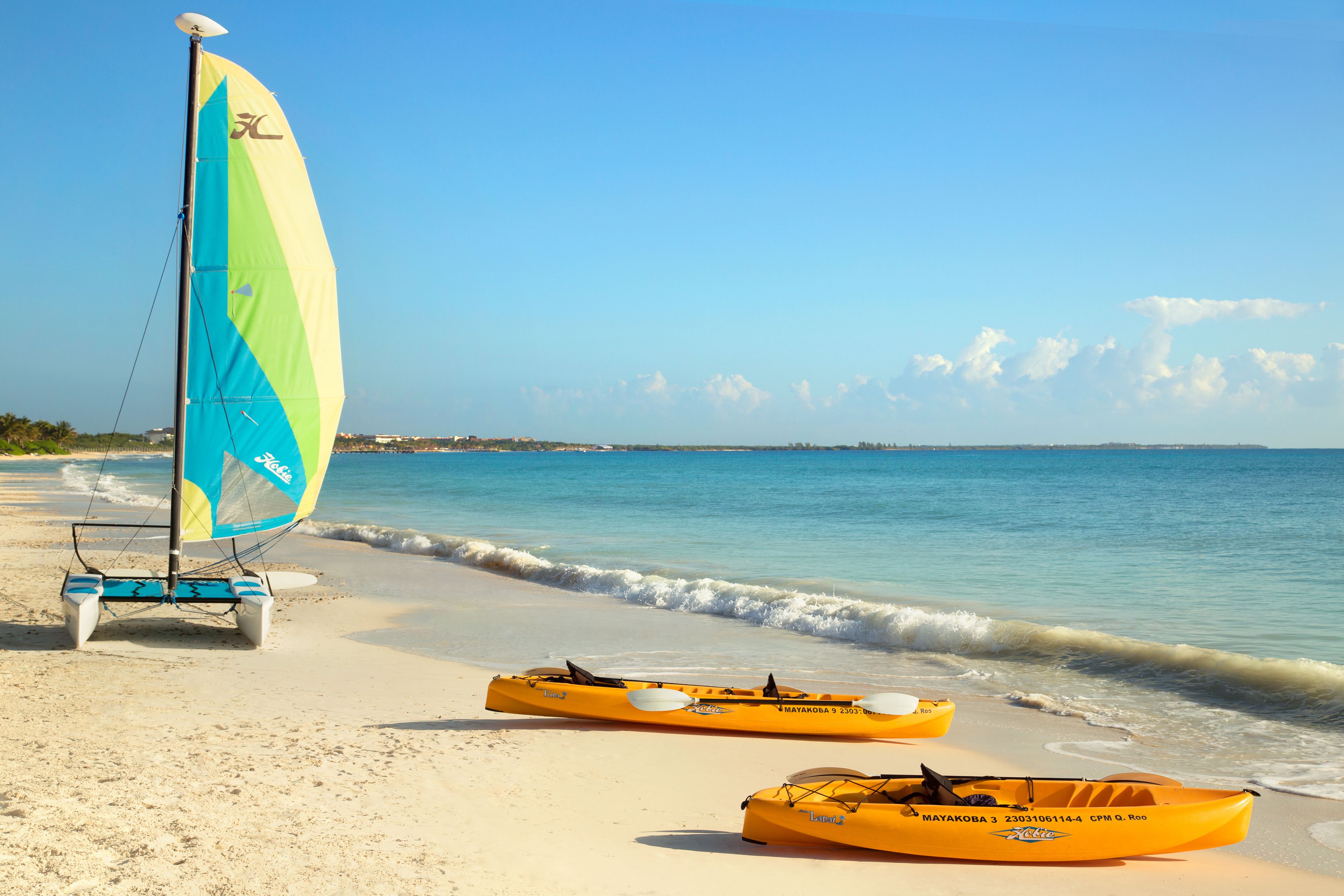 Surfing/boogie boarding