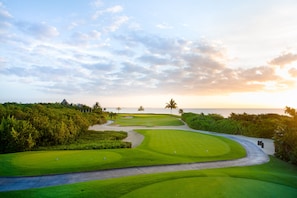 Un parcours de golf offrant une vue dégagée sur l’océan et les palmiers.