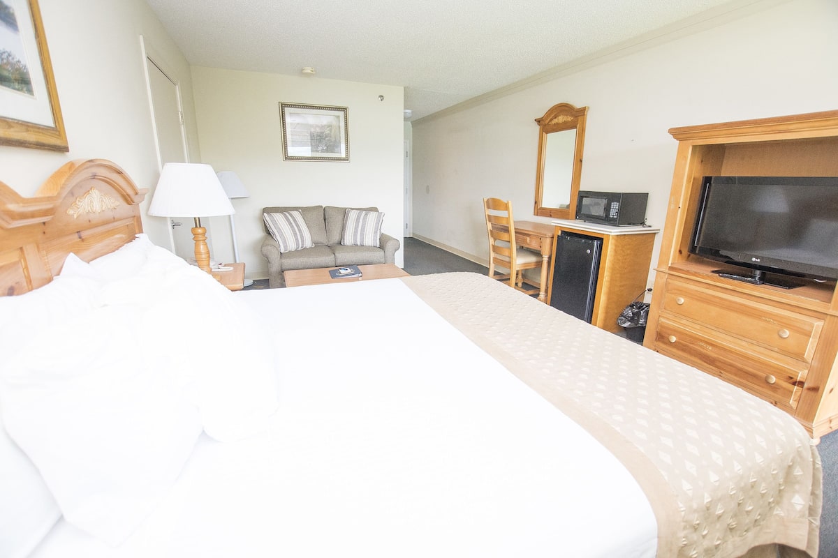 Habitación de hotel con una cama grande, un escritorio de madera, televisión y microondas.
