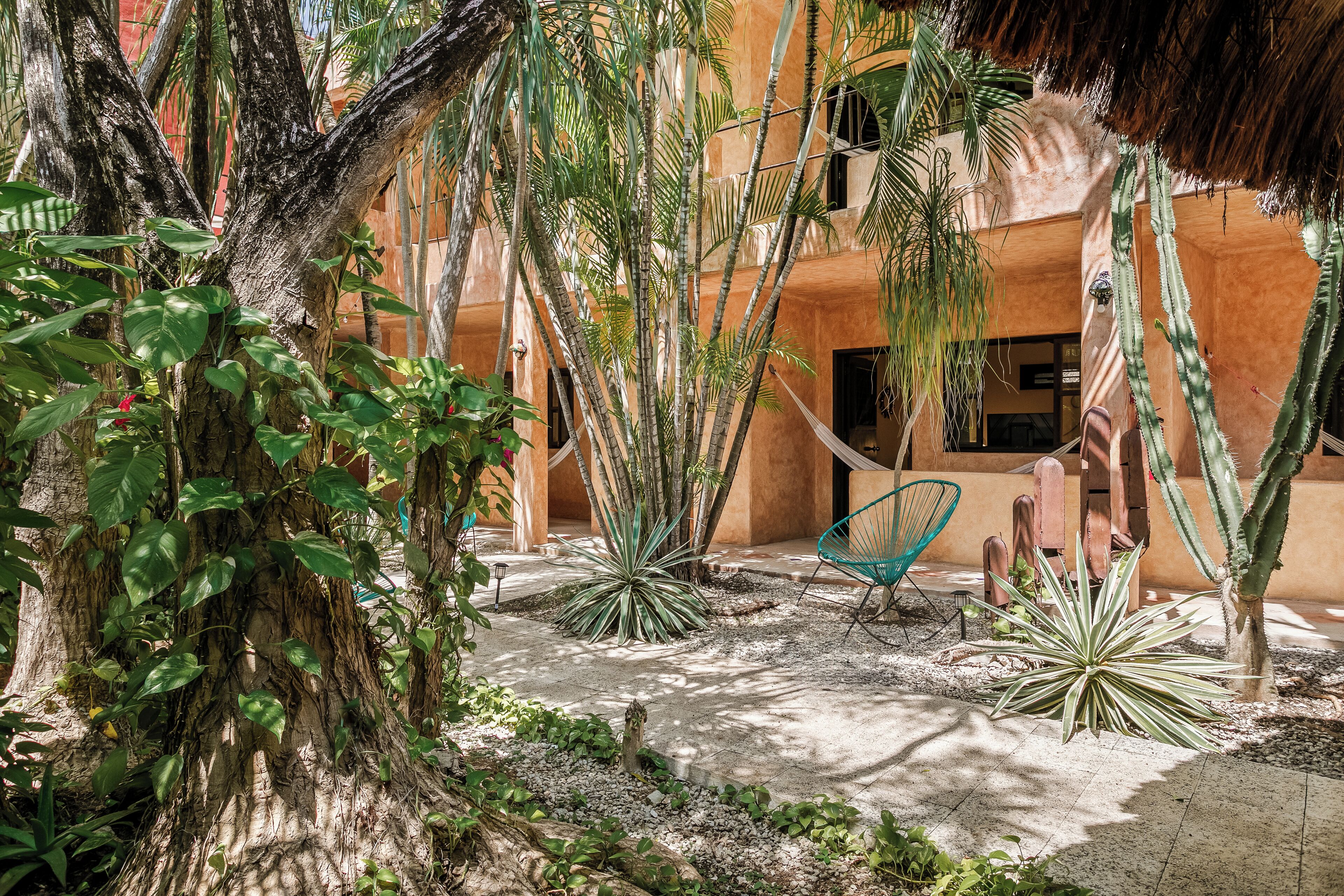 A courtyard with a hammock, cacti, and a wooden chair.