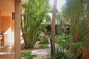 32-inch LED TV with satellite channels - Hotel Barrio Latino (Playa del Carmen)