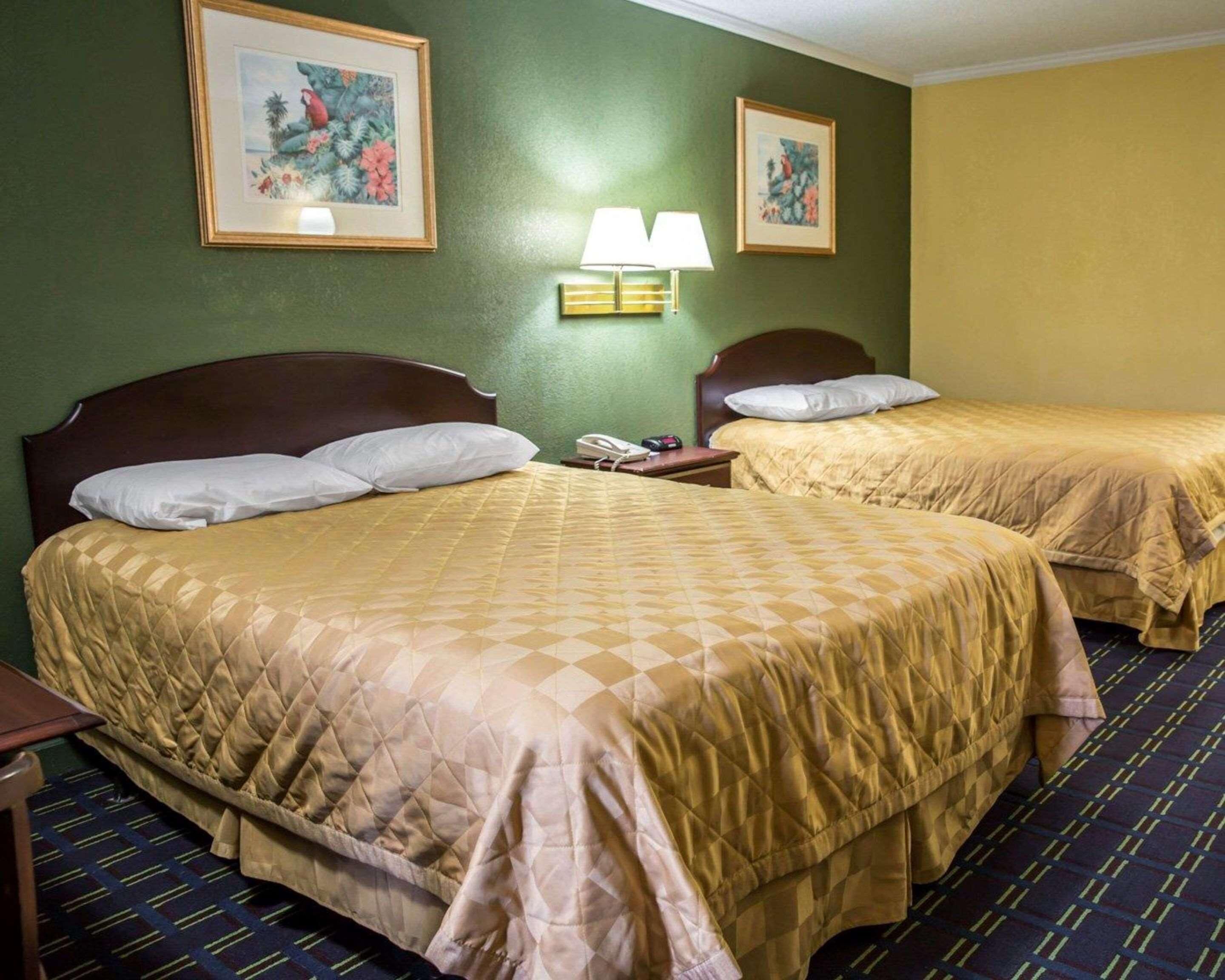 Desk, blackout drapes, alarm clocks, bed sheets