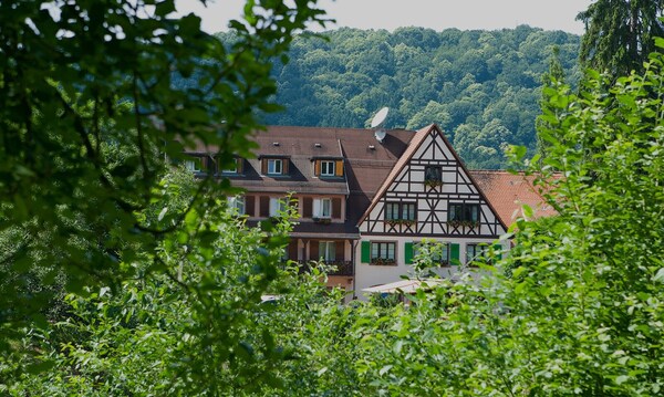 Auberge D'imsthal - Black Forest