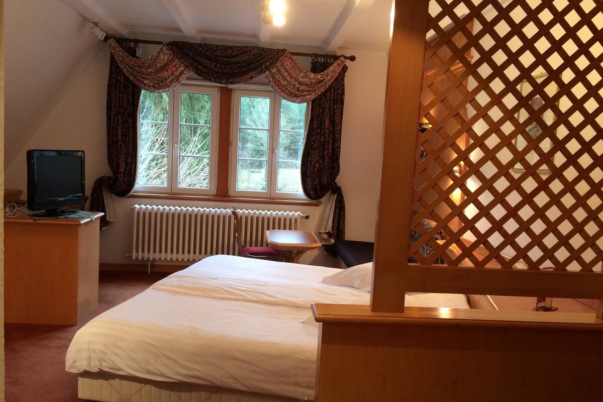 double room (confort plus) | desk, soundproofing, free wifi, alarm clocks