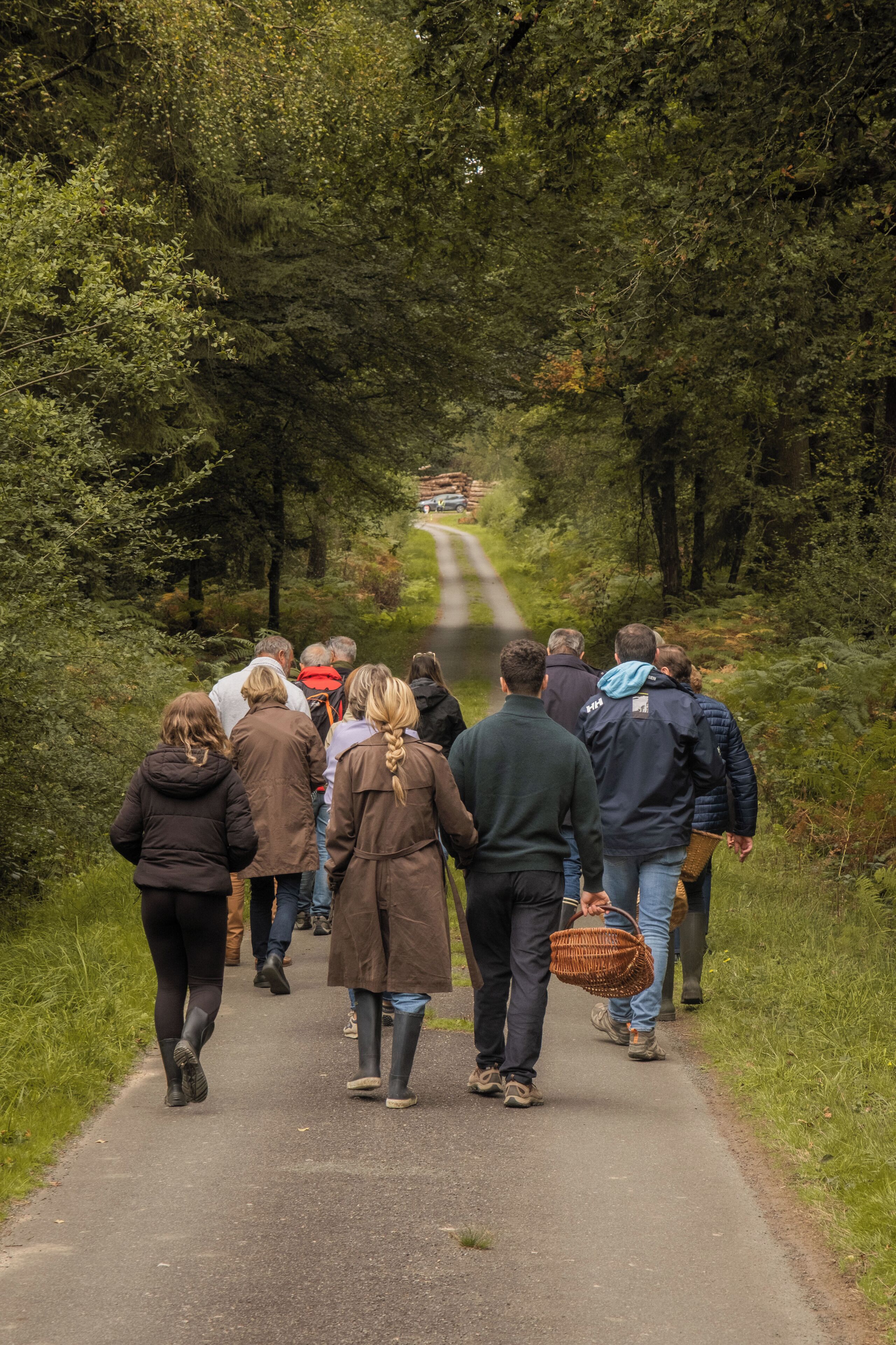 A group of people walking on a paved path surrounded by dense greenery.