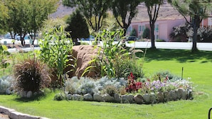 Un jardin aménagé avec différentes espèces de plantes et une bordure en pierre.
