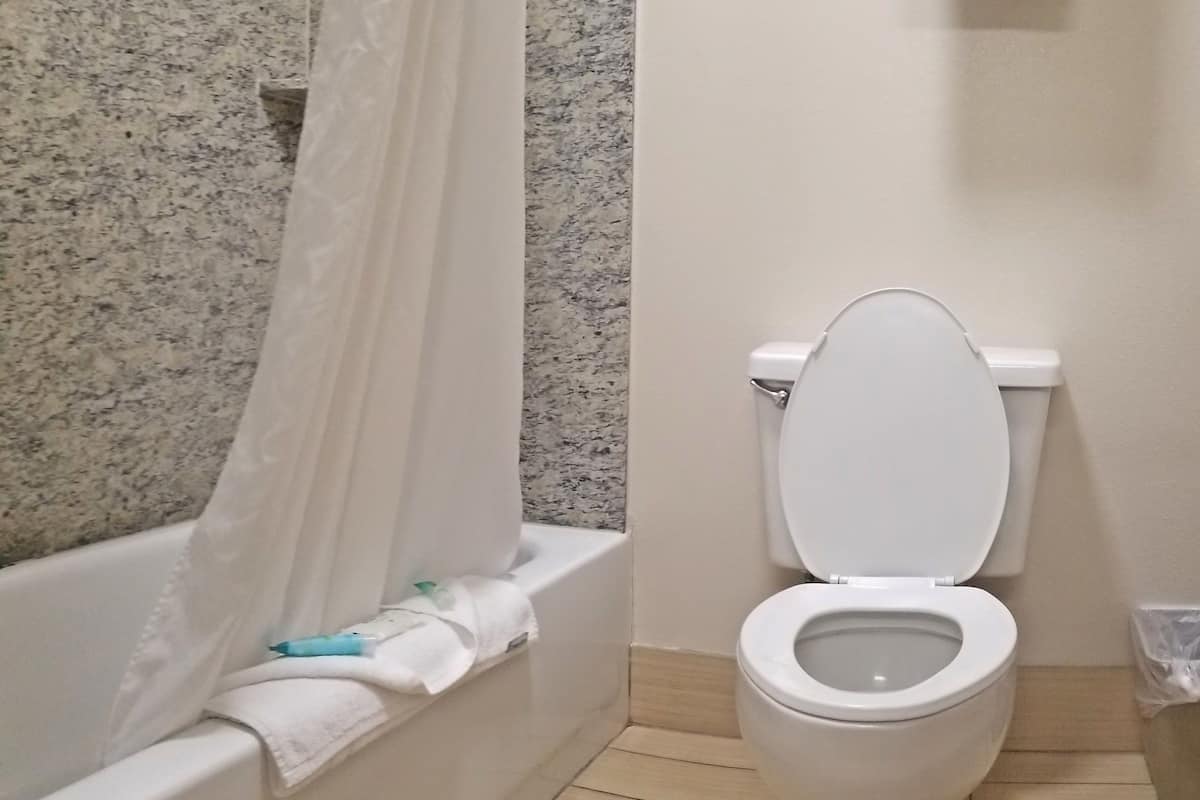 combined shower/bathtub, hair dryer, towels