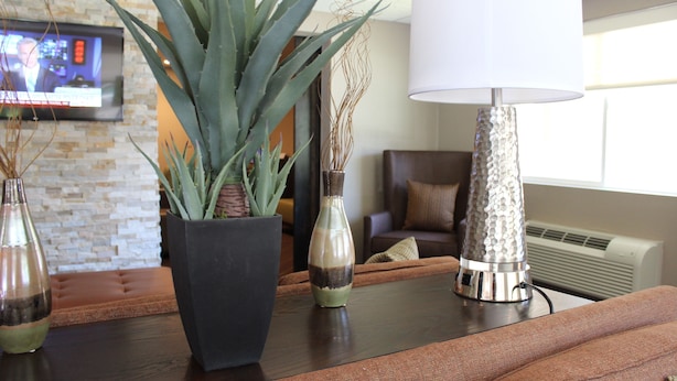 Un salon avec une table basse en bois foncé, une plante en pot, un vase contenant des plantes séchées, une lampe et un téléviseur fixé au mur.